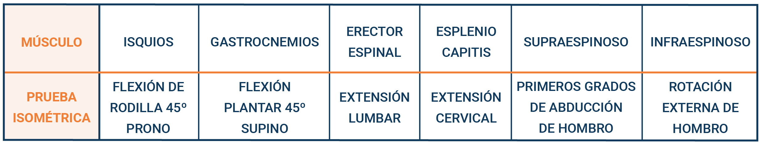 MEDICIÓN DE ISOMÉTRICAS PARA CADA MÚSCULO