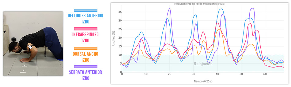 grafica actividad muscular variantes de flexiones cuadrupedia