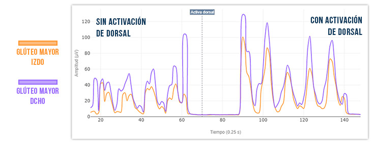 actividad gluteo mayor con dorsal ancho en puente de glúteo