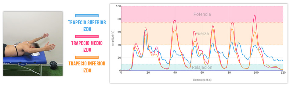 ejercicio para mejorar la estabilidad escapular - Y en prono