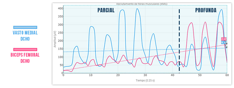 sentadilla profunda vs sentadilla parcial (alteración cuadriceps)