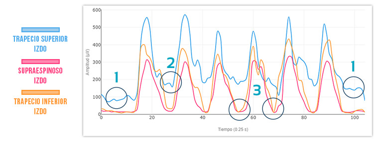 gráfico 2 rotación externa