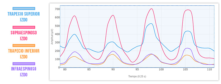 gráfico 3 rotación externa