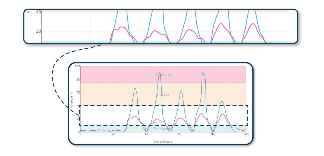umbrales de actividad muscular - intermedio