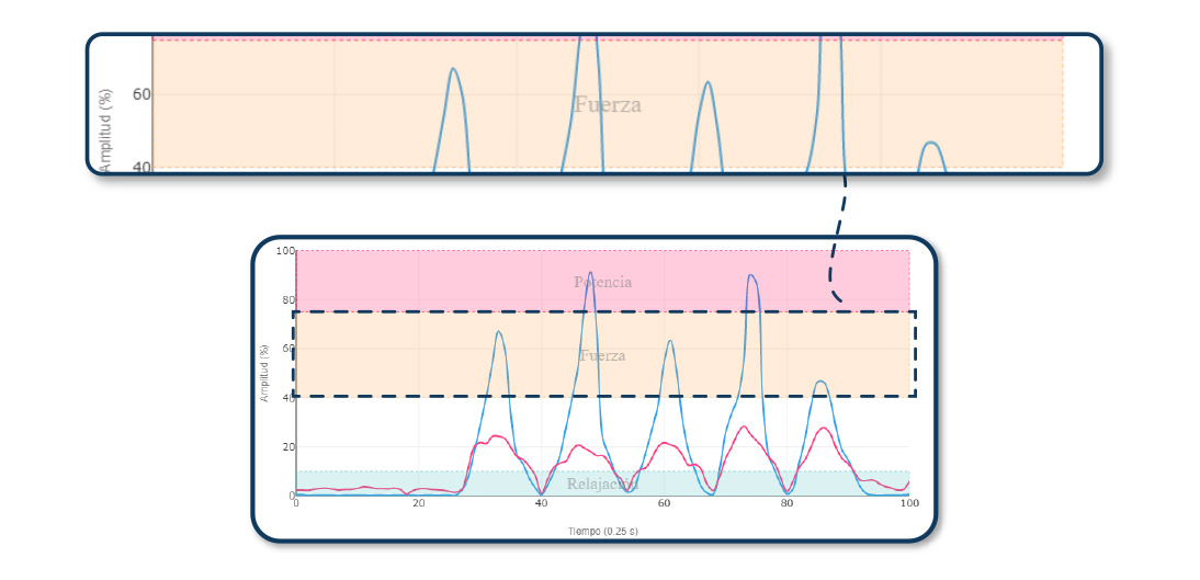 umbrales de actividad muscular adaptaciones fuerza