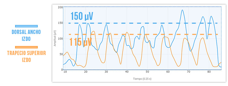 gráfico del ejercicio remo-gironda