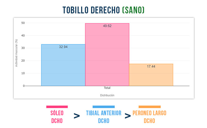 tobillo derecho sano