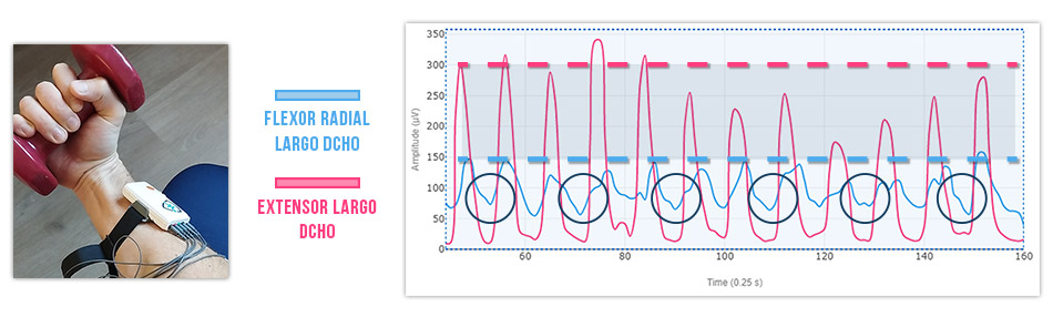 Flexión dinámica de muñeca con mancuerna