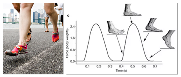influencia del calzado