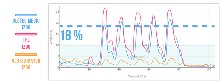 Miembro de apoyo en extensión de cadera.