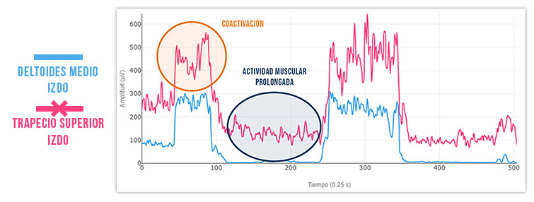 aumento de la fatiga muscular