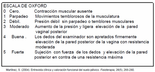 escala de Oxford para suelo pélvico