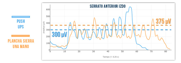gráfica serrato anterior
