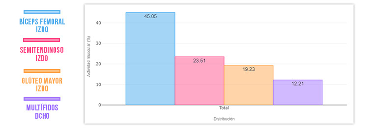 gráfica bíceps femoral