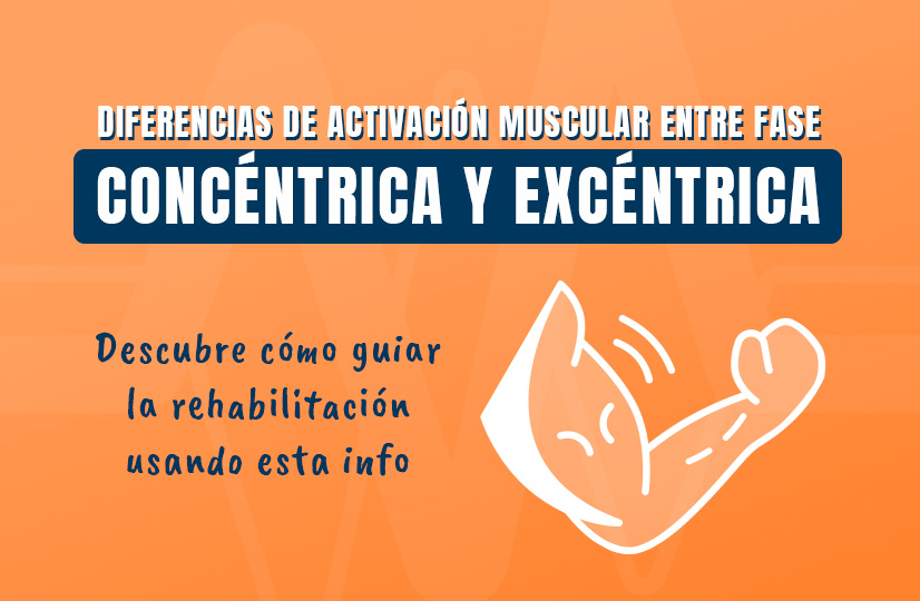 fase concéntrica y excéntrica