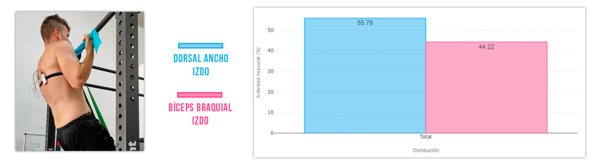 activación del dorsal 1