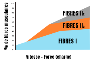 Principe de Henneman