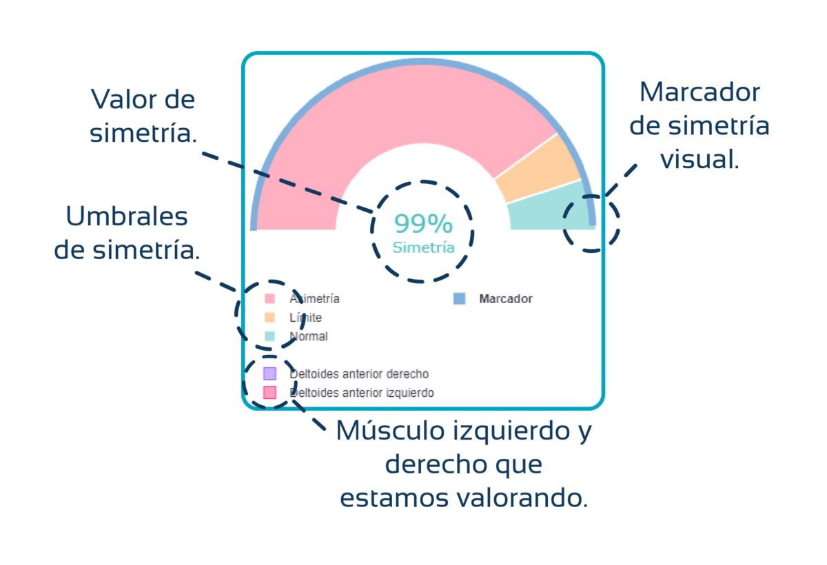 asimetrías musculares