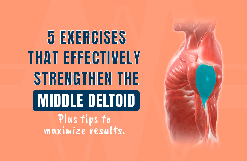 5 Exercises That Effectively Strengthen the Middle Deltoid