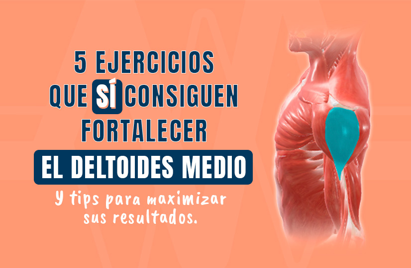 5 ejercicios que SÍ consiguen fortalecer el deltoides medio