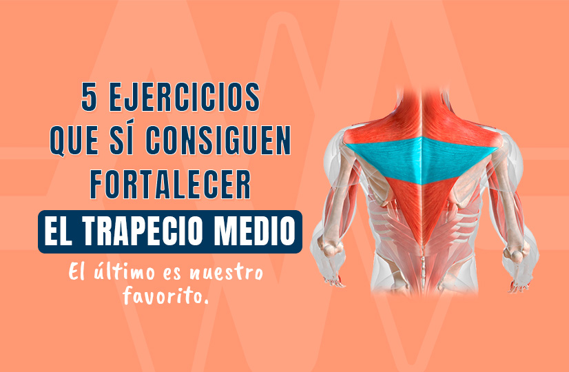5 ejercicios que SÍ consiguen fortalecer el trapecio medio