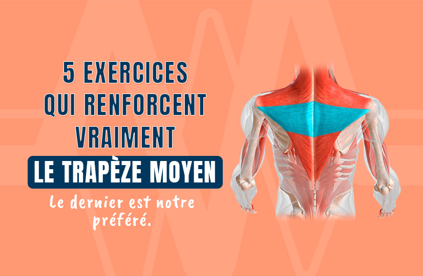 5 exercices qui renforcent VRAIMENT le trapèze moyen