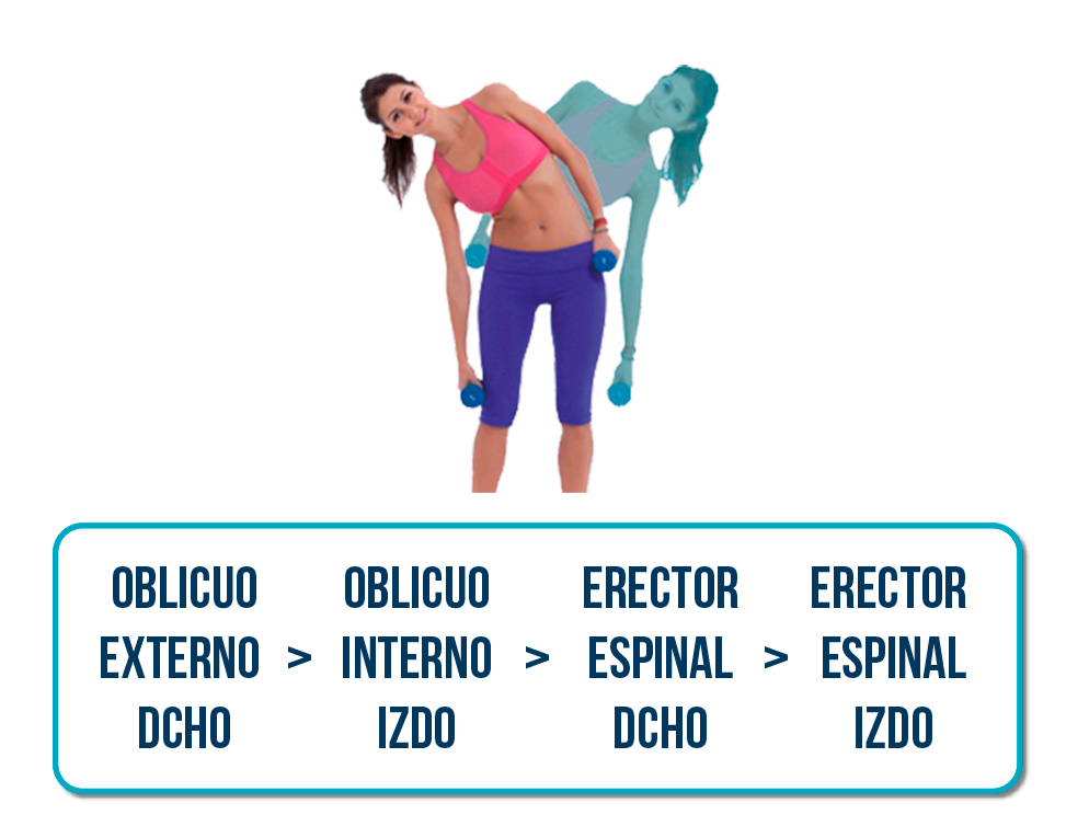 rotación lateral de tronco