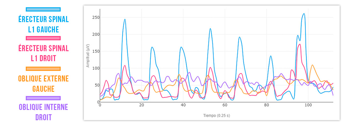 rotation latérale du tronc