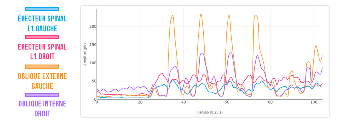rotation latérale du tronc