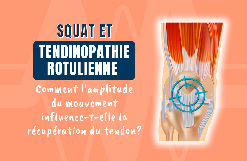 Squat et tendinopathie rotulienne _Comment l’amplitude du mouvement influence-t-elle la récupération du tendon
