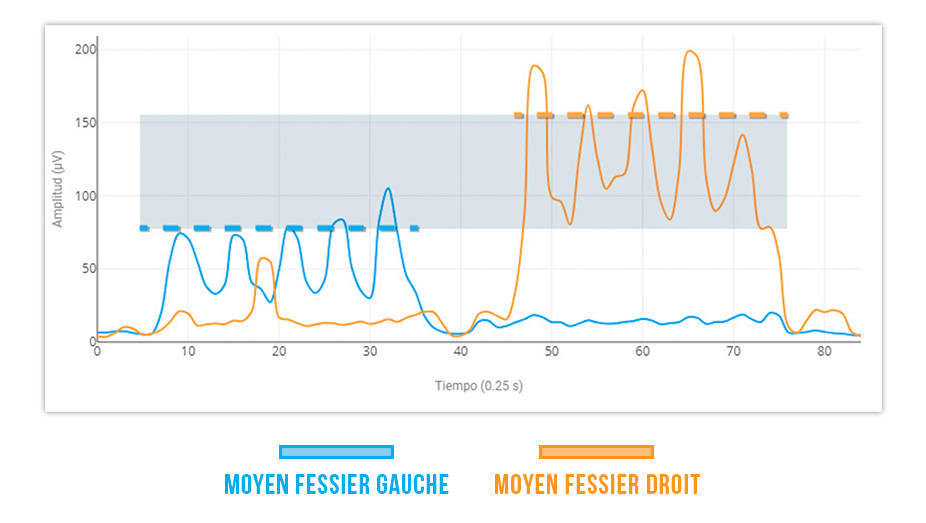 synergie moyen fessier - long adducteur