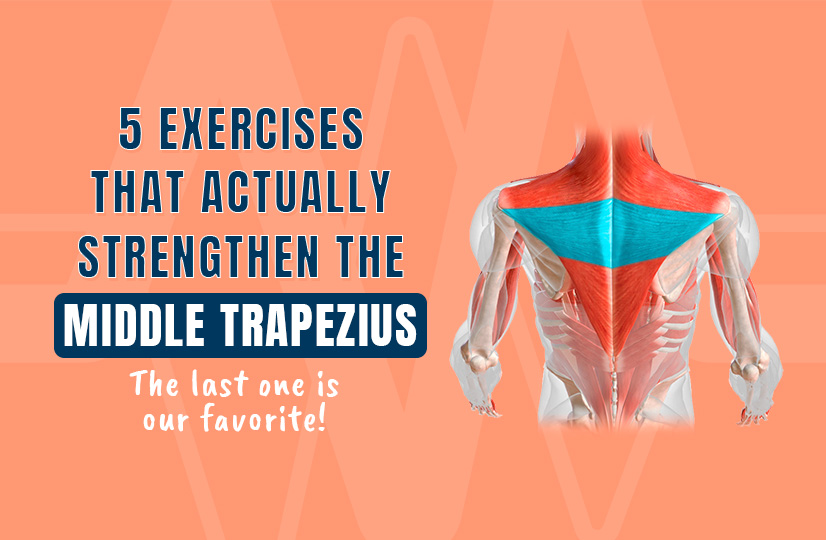 5 Exercises That ACTUALLY Strengthen the Middle Trapezius