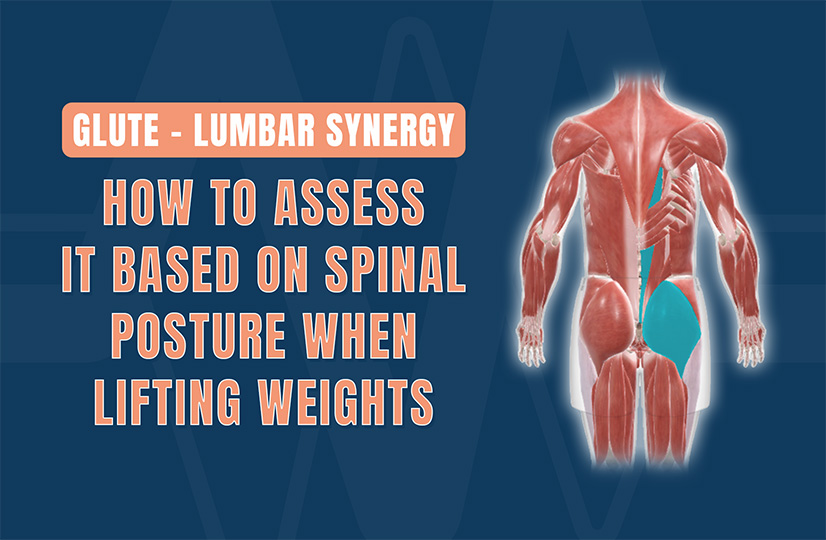 Glute-Lumbar Synergy_How to Assess It Based on Spinal Posture When Lifting Weights