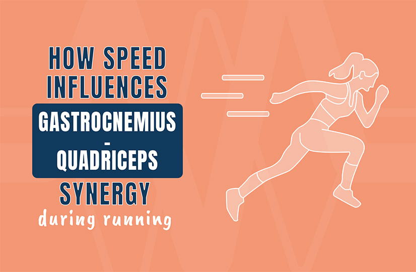 How Speed Influences Gastrocnemius–Quadriceps Synergy During Running
