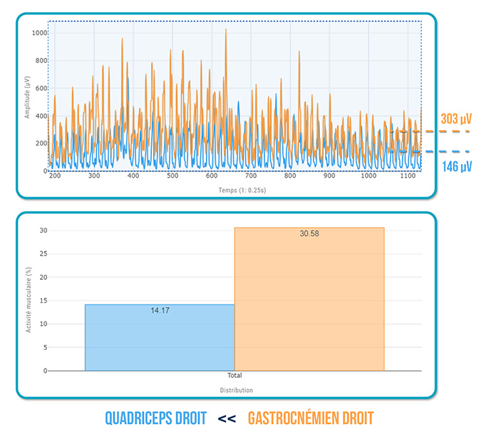 synergie Gastrocnémiens - Quadriceps