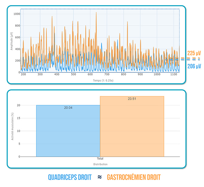 synergie Gastrocnémiens - Quadriceps