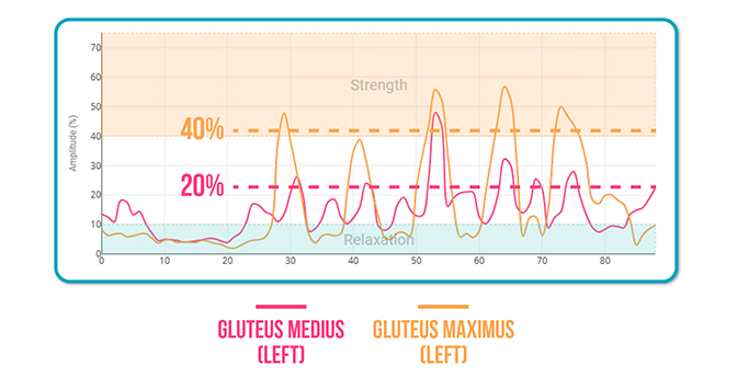 Squat Activates the Gluteus