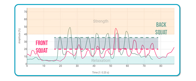 Squat Activates the Gluteus