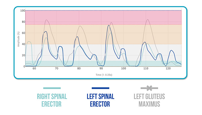 Gluteus Maximus Activation