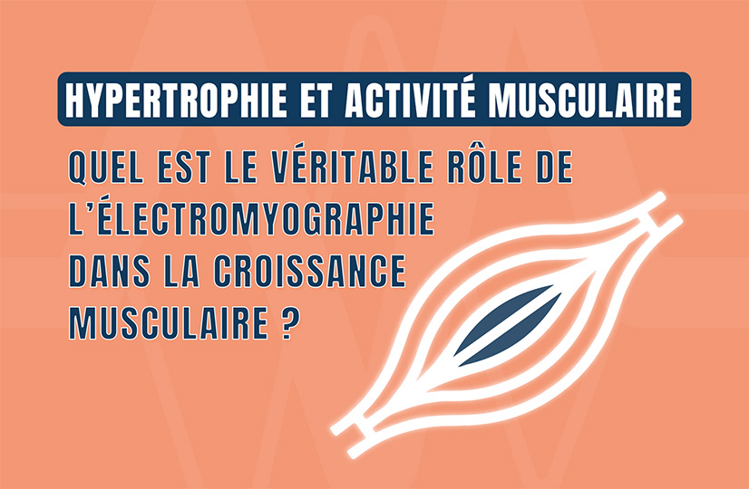 Hypertrophie et activité musculaire