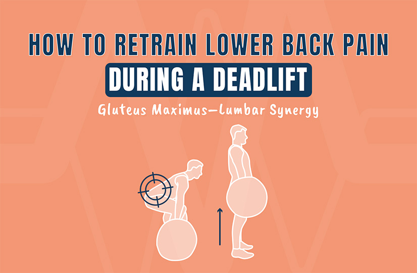 How to Retrain Lower Back Pain During a Deadlift Gluteus Maximus–Lumbar Synergy