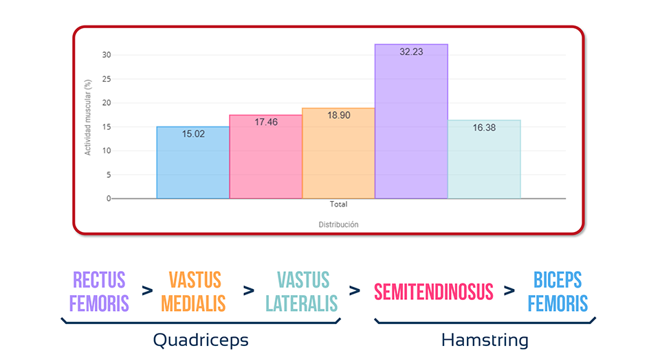 Muscle Synergies During Gait