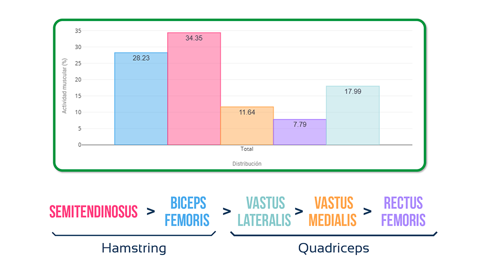Muscle Synergies During Gait