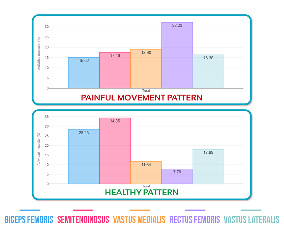 Muscle Synergies During Gait