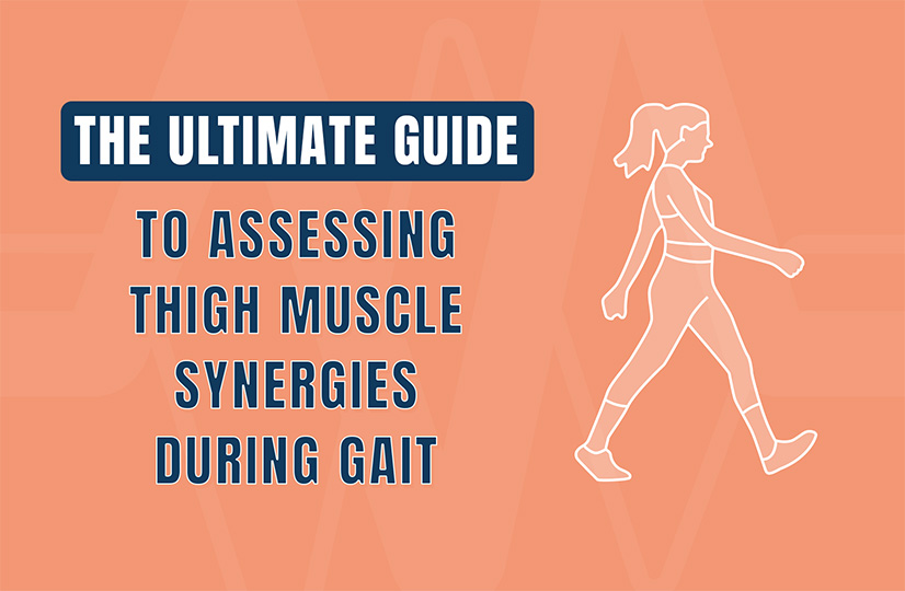 Muscle Synergies During Gait