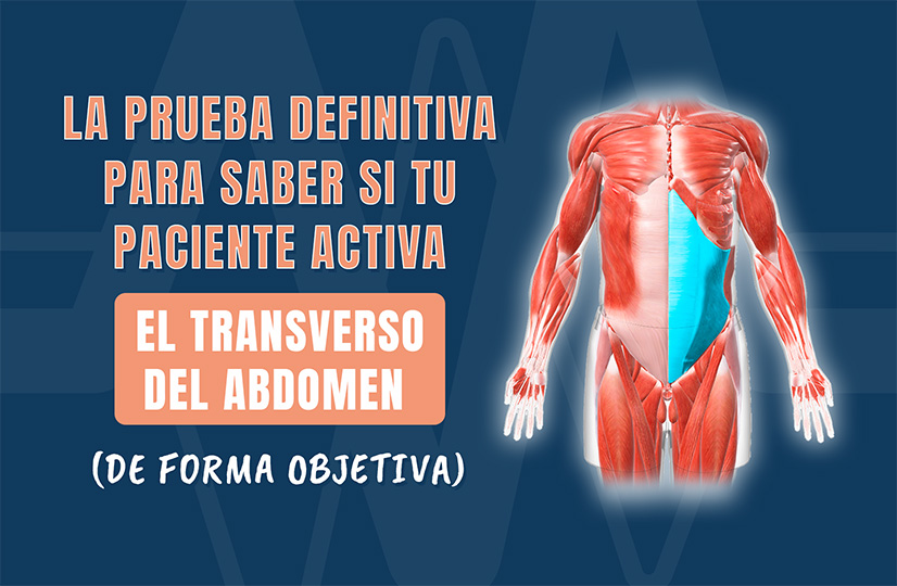 La prueba definitiva para saber si tu paciente activa el transverso del abdomen