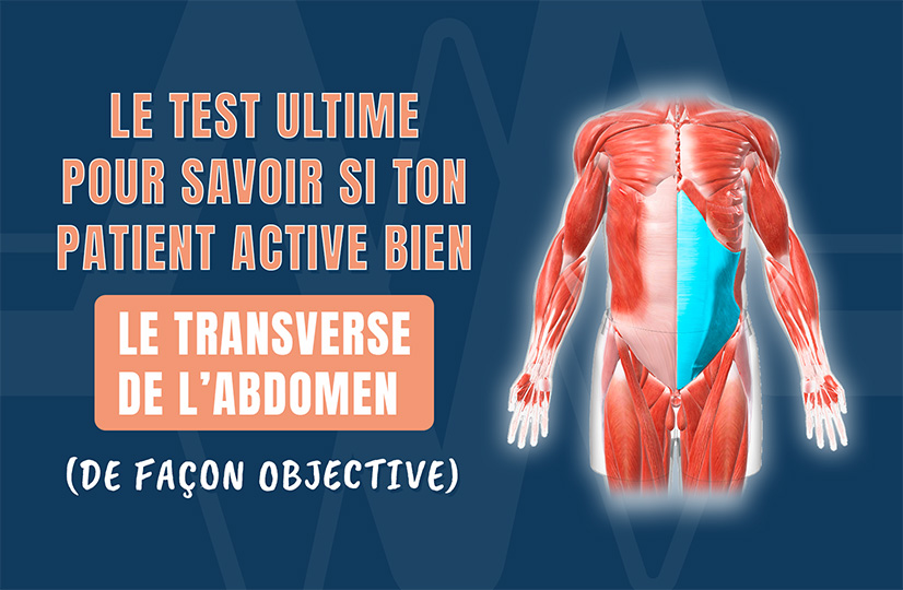 Le test ultime pour savoir si ton patient active bien le transverse de l’abdomen