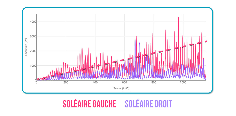 fatigue musculaire du soléaire