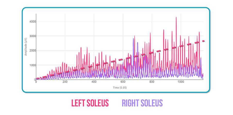 Muscle Fatigue in Runners
