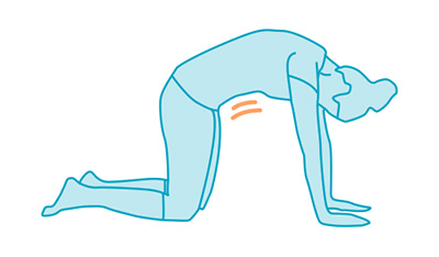 Transverse Abdominis